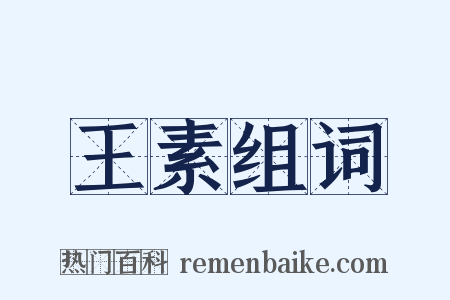 王素组词是什么意思的图片